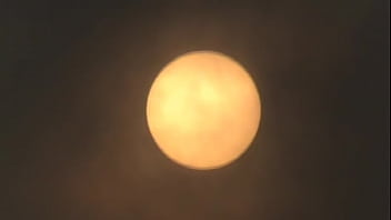 666 angel elvis abellard