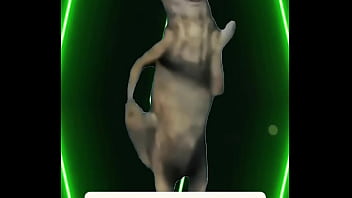 Chill lights cold drinks warm energy you don’t get invited — you get chosen