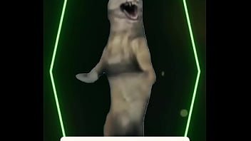 Chill lights cold drinks warm energy you don’t get invited — you get chosen