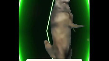 Chill lights cold drinks warm energy you don’t get invited — you get chosen