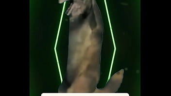 Chill lights cold drinks warm energy you don’t get invited — you get chosen