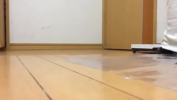 Parrto hot green stomping