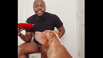 Llamasr update #1 1000001732 mar 18 2025