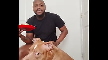 Llamasr update #1 1000001732 mar 18 2025