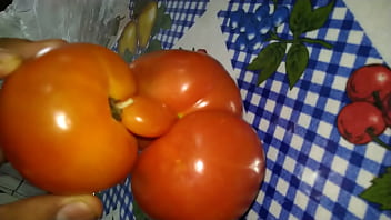 Dois tomates transando e gozando