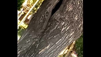 V70629 200212 vagina the destroyer