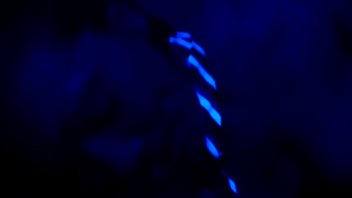 Trim 20121231 174956