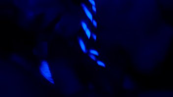 Trim 20121231 174956