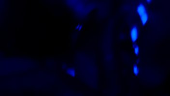 Trim 20121231 174956