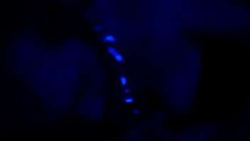 Trim 20121231 174956