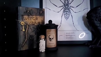 Got most of my spooky decor and stuff set up ️