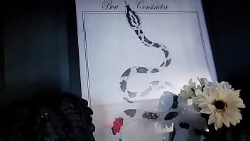 Got most of my spooky decor and stuff set up ️