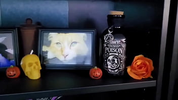 Got most of my spooky decor and stuff set up ️