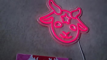 Got most of my spooky decor and stuff set up ️