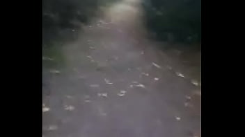 Una rica chupada en el bosque