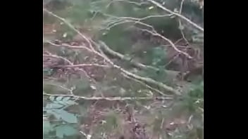 Una rica chupada en el bosque