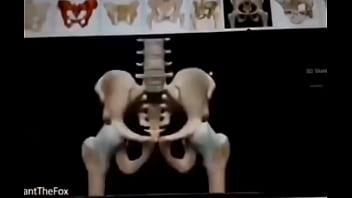 Esqueleto haciendo manualidades xd