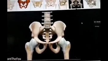 Esqueleto haciendo manualidades xd