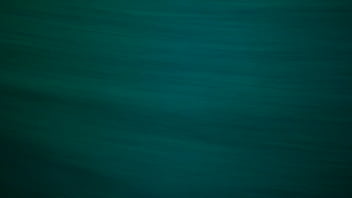 Nega Mel Zinho thumbnail