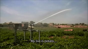 Ricky mira code geass