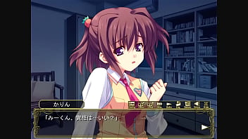 Sakura strasse karin 4