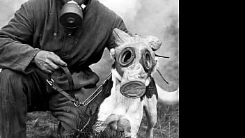 La gran guerra en 20 minutos