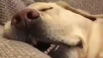 La gran guerra en 20 minutos