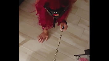 Me teen girl pov blowjob and licking balls dick on a leash in the smoke of hookah