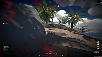 Owning noobs in battlebit