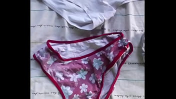 Todas las bragas que robe