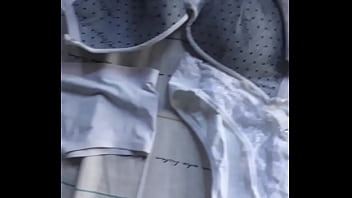 Todas las bragas que robe