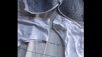 Todas las bragas que robe