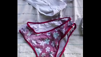 Todas las bragas que robe