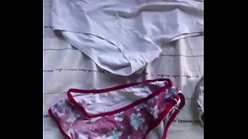 Todas las bragas que robe