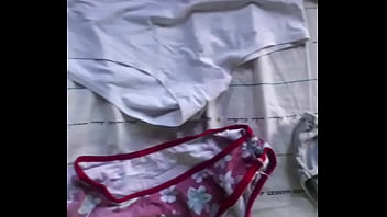 Todas las bragas que robe