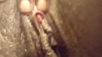 Playing with the kitty