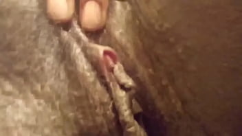 Playing with the kitty