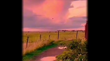 Y se lo paso sin coins