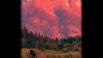 Y se lo paso sin coins