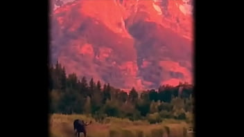 Y se lo paso sin coins