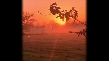 Y se lo paso sin coins