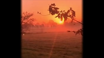 Y se lo paso sin coins