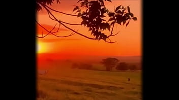 Y se lo paso sin coins