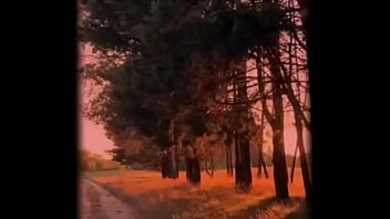 Y se lo paso sin coins