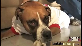 Ebony Gang Bang And Cum Feeding 8 thumbnail