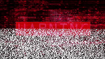 Dr tampa the pre employment physical alix avery