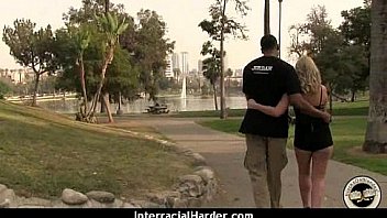 White blond on black steele 11