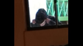 Dinosaurios thumbnail