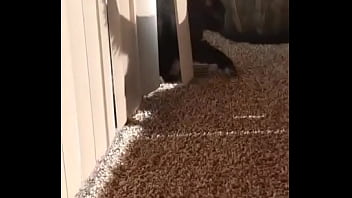 I knew this was going to hit me hard but jesus christ