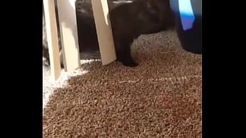 I knew this was going to hit me hard but jesus christ